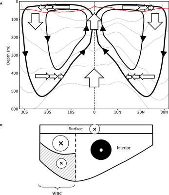 The role of shallow and deep circulations in the Tropical Pacific Ocean heat budget